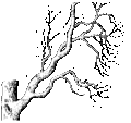 Thumbnail for version as of 06:03, 15 May 2011